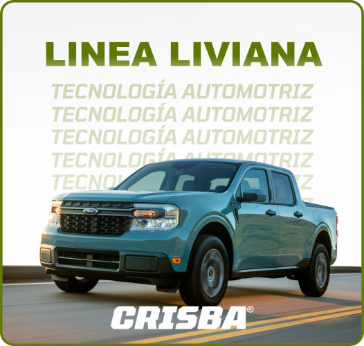 Linea Liviana
